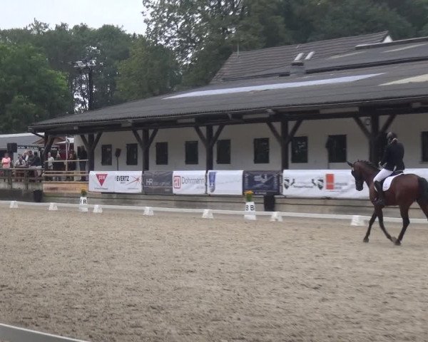 Reitsport Festival am Gut Jagenberg - Solingen 2021