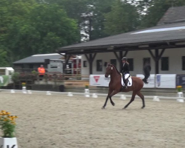Reitsport Festival am Gut Jagenberg - Solingen 2021
