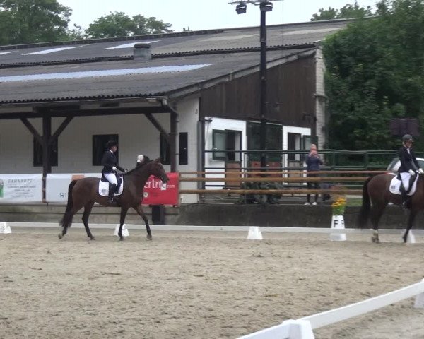 Reitsport Festival am Gut Jagenberg - Solingen 2021