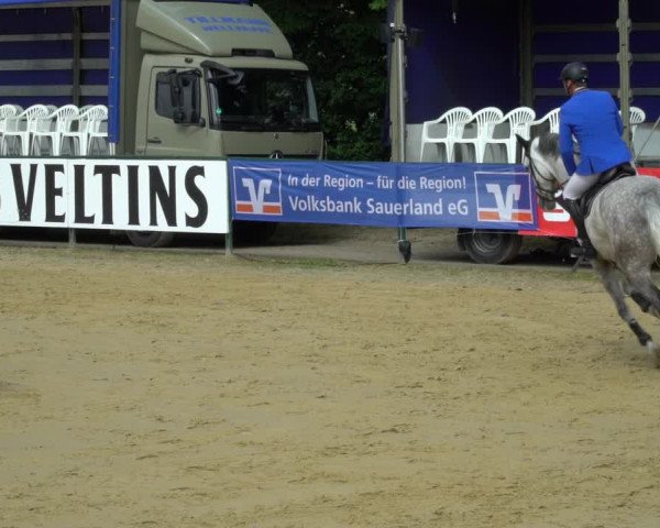 Reitturnier Hellefeld 2021