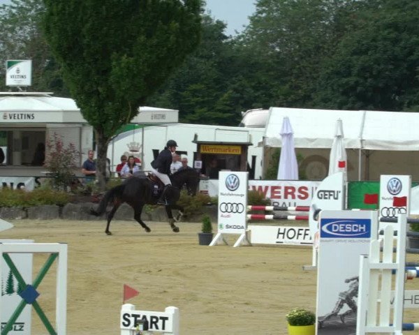 Reitturnier Hellefeld 2021