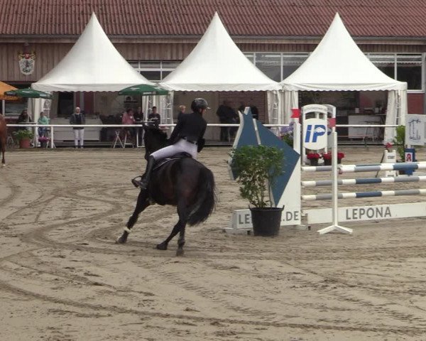 Reitturnier Werne 2021