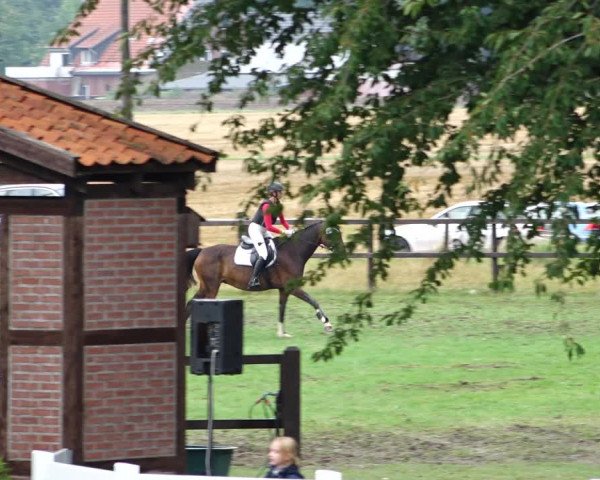 Sommerturnier Ostbevern 2021