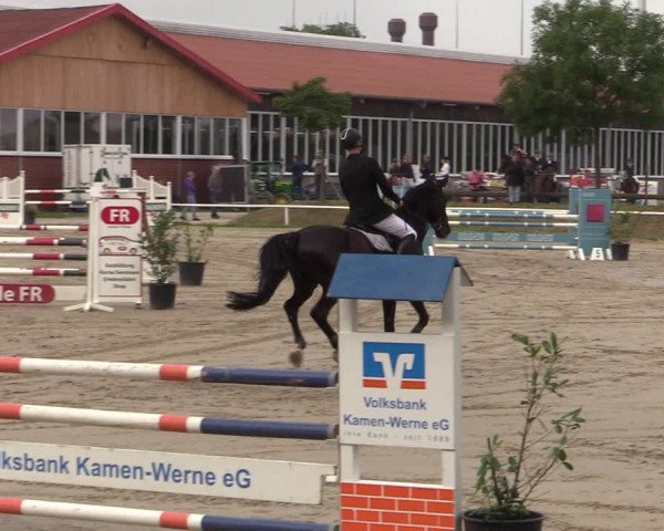 Reitturnier Werne 2021