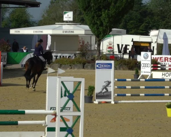 Reitturnier Hellefeld 2021