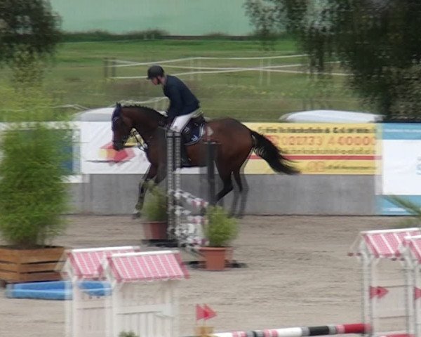 Reitturnier Monheim - Gut Blee 2021