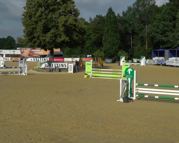 Reitturnier Hellefeld 2021