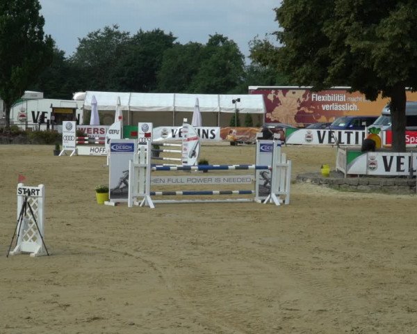 Reitturnier Hellefeld 2021