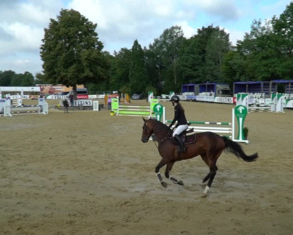 Reitturnier Hellefeld 2021