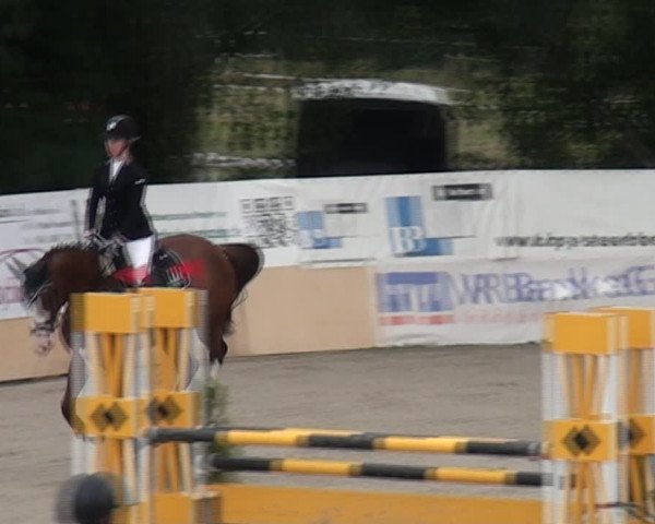 Reitturnier Monheim - Gut Blee 2021