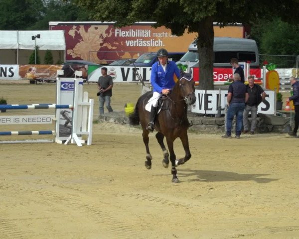 Reitturnier Hellefeld 2021