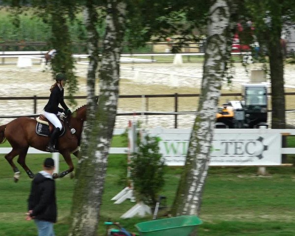 Sommerturnier Ostbevern 2021
