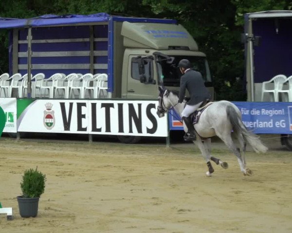 Reitturnier Hellefeld 2021