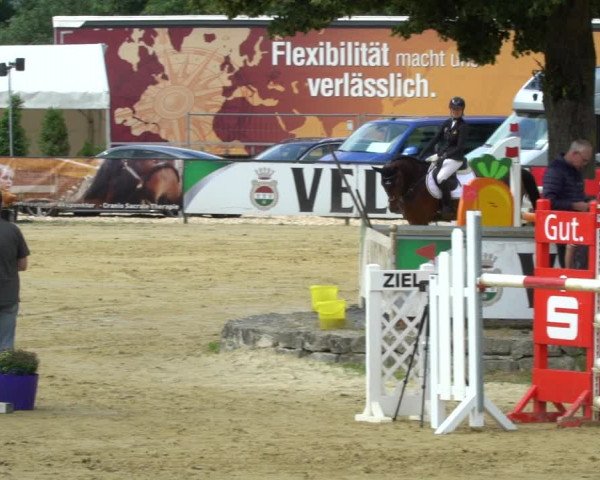 Reitturnier Hellefeld 2021
