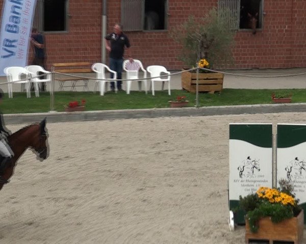 Reitturnier Monheim - Gut Blee 2021