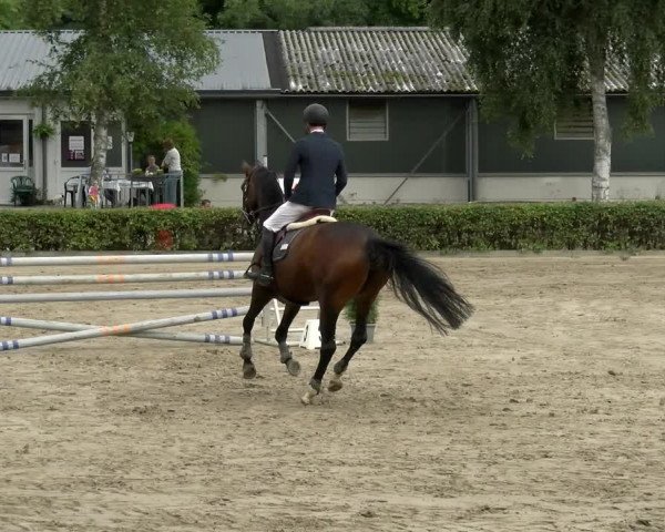 Reitturnier Siegen 2021