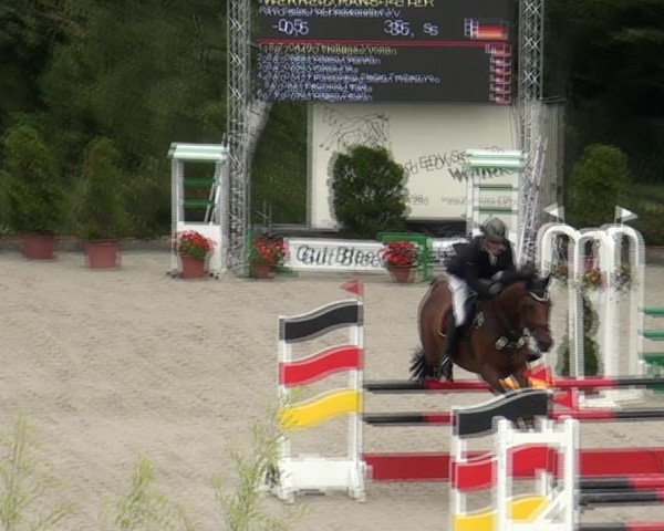 Reitturnier Monheim - Gut Blee 2021