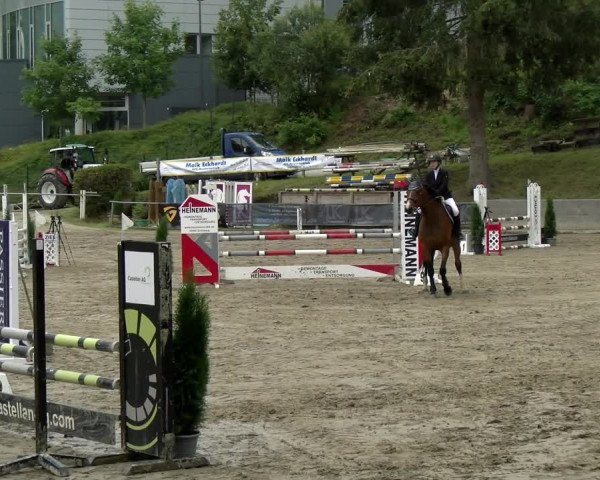 Reitturnier Siegen 2021