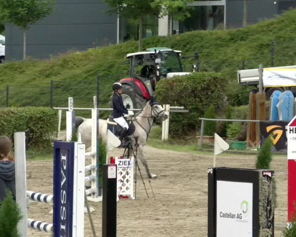 Reitturnier Siegen 2021