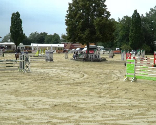 Reitturnier Hellefeld 2021
