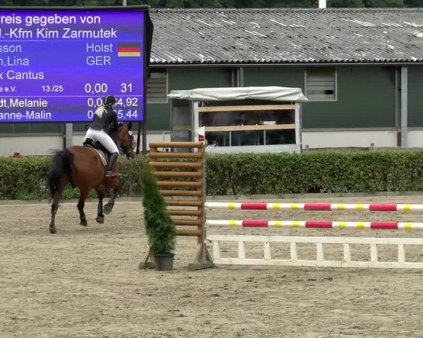 Reitturnier Siegen 2021