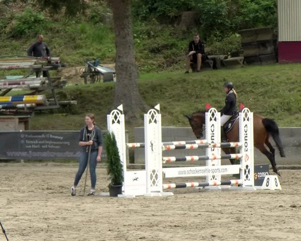 Reitturnier Siegen 2021