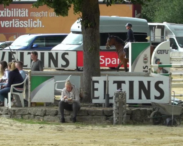 Reitturnier Hellefeld 2021