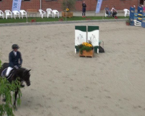 Reitturnier Monheim - Gut Blee 2021