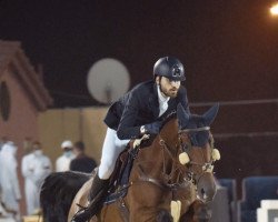 jumper Newport Grandia Z (Zangersheide riding horse, 2013, from Nonstop)