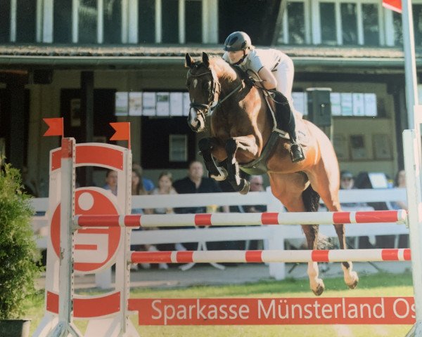 jumper Eskada 25 (Holsteiner, 2012, from Diarado)