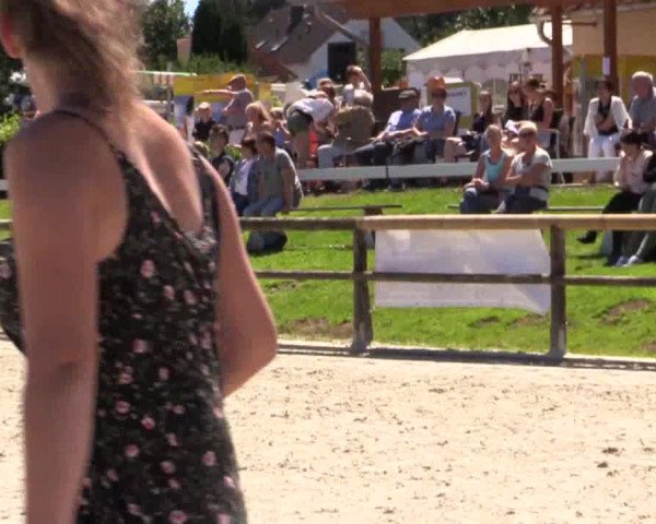 Stuten- und Fohlenschau Detmold 2018