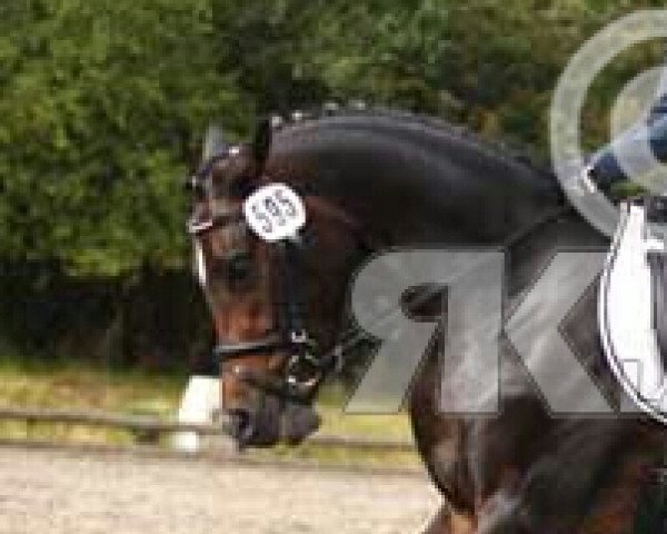 jumper Prestiege (Westphalian, 2010, from FS Pour l'Amour)