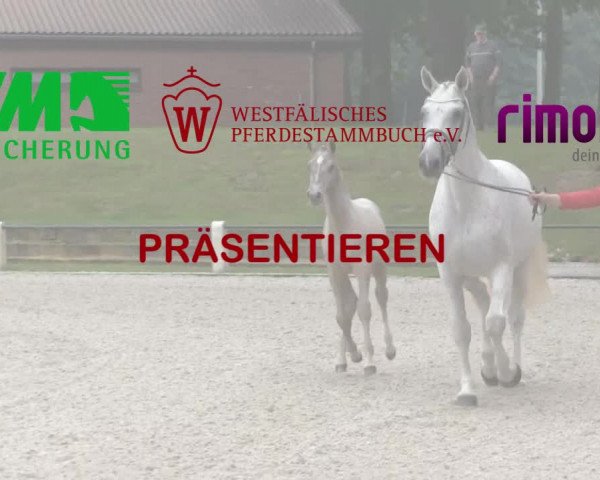 Stuten- und Fohlenschau Herbern 2018