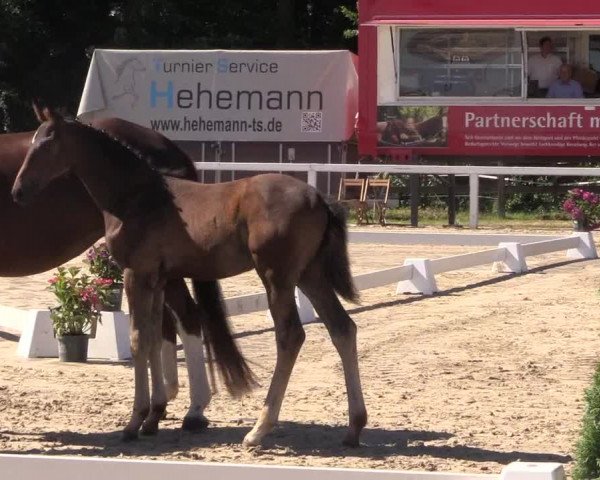 LVM Sichtung Melle Ostenfelde