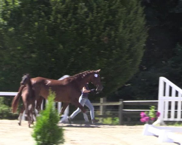 LVM Sichtung Melle Ostenfelde