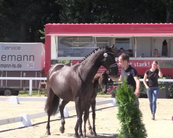 LVM Sichtung Melle Ostenfelde