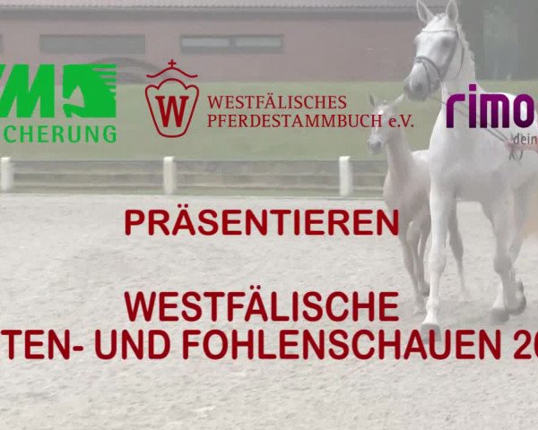 Handorfer-Kleinpferdetag 2018