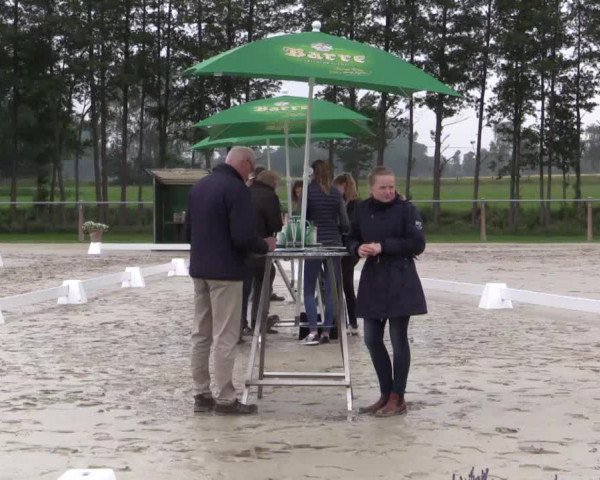 Stuten- und Fohlenschau Espelkamp 2018