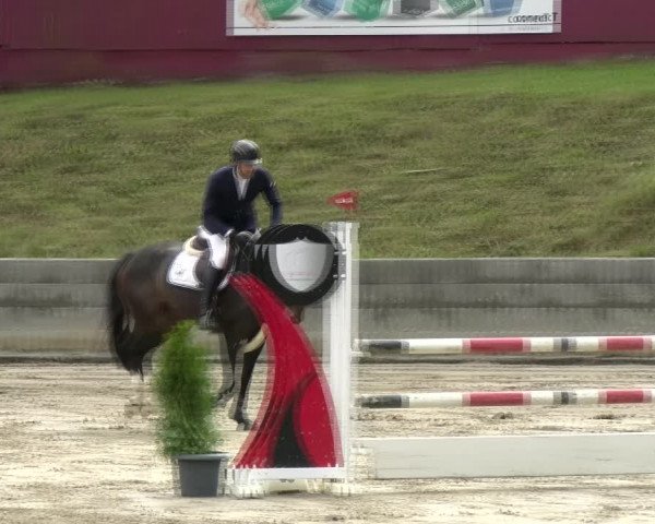 Reitturnier Siegen 2021