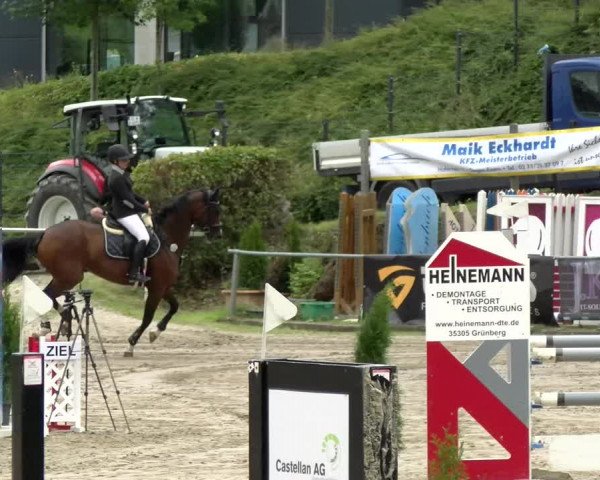 Reitturnier Siegen 2021
