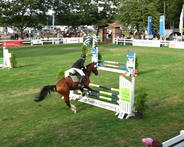 Sommerturnier Ostbevern 2021
