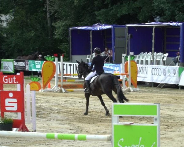 Reitturnier Hellefeld 2021