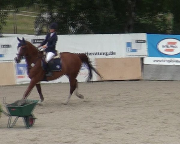Reitturnier Monheim - Gut Blee 2021