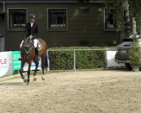Reitturnier Siegen 2021