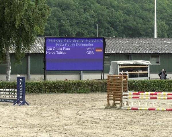 Reitturnier Siegen 2021