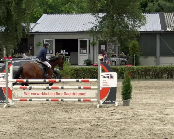 Reitturnier Siegen 2021