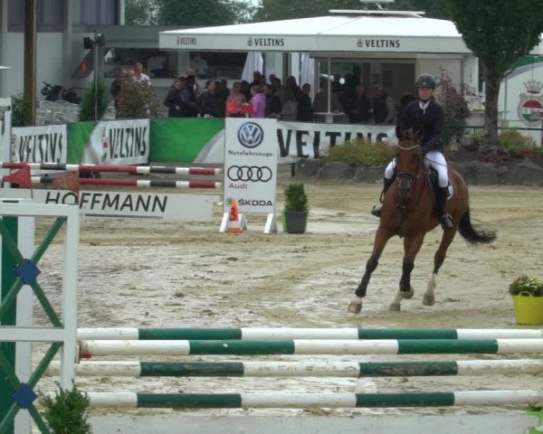 Reitturnier Hellefeld 2021
