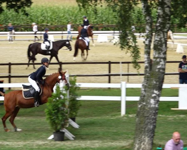 Sommerturnier Ostbevern 2021