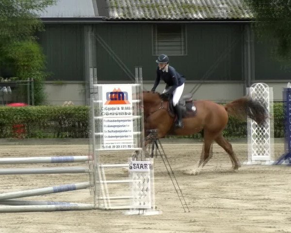 Reitturnier Siegen 2021