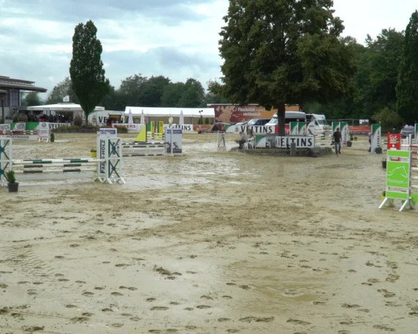 Reitturnier Hellefeld 2021